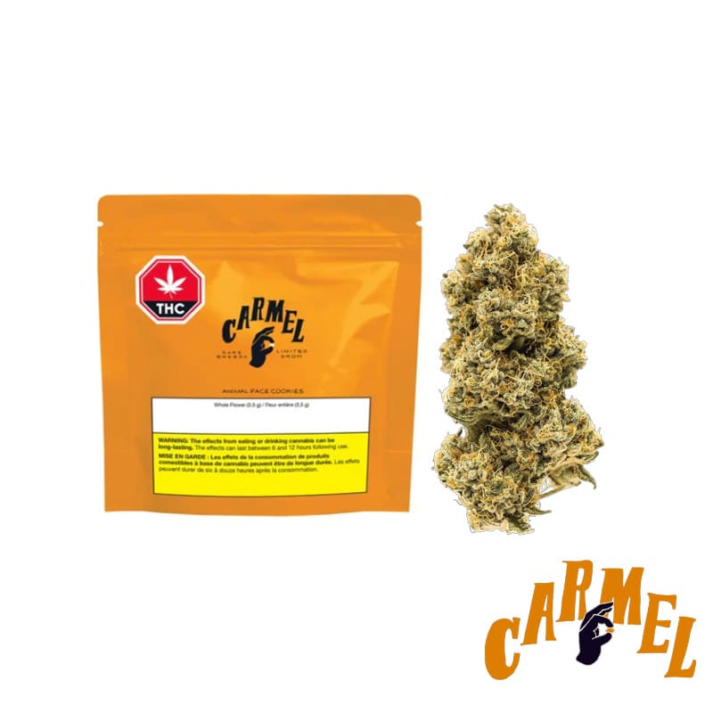 Carmel - Animal Face - 14g